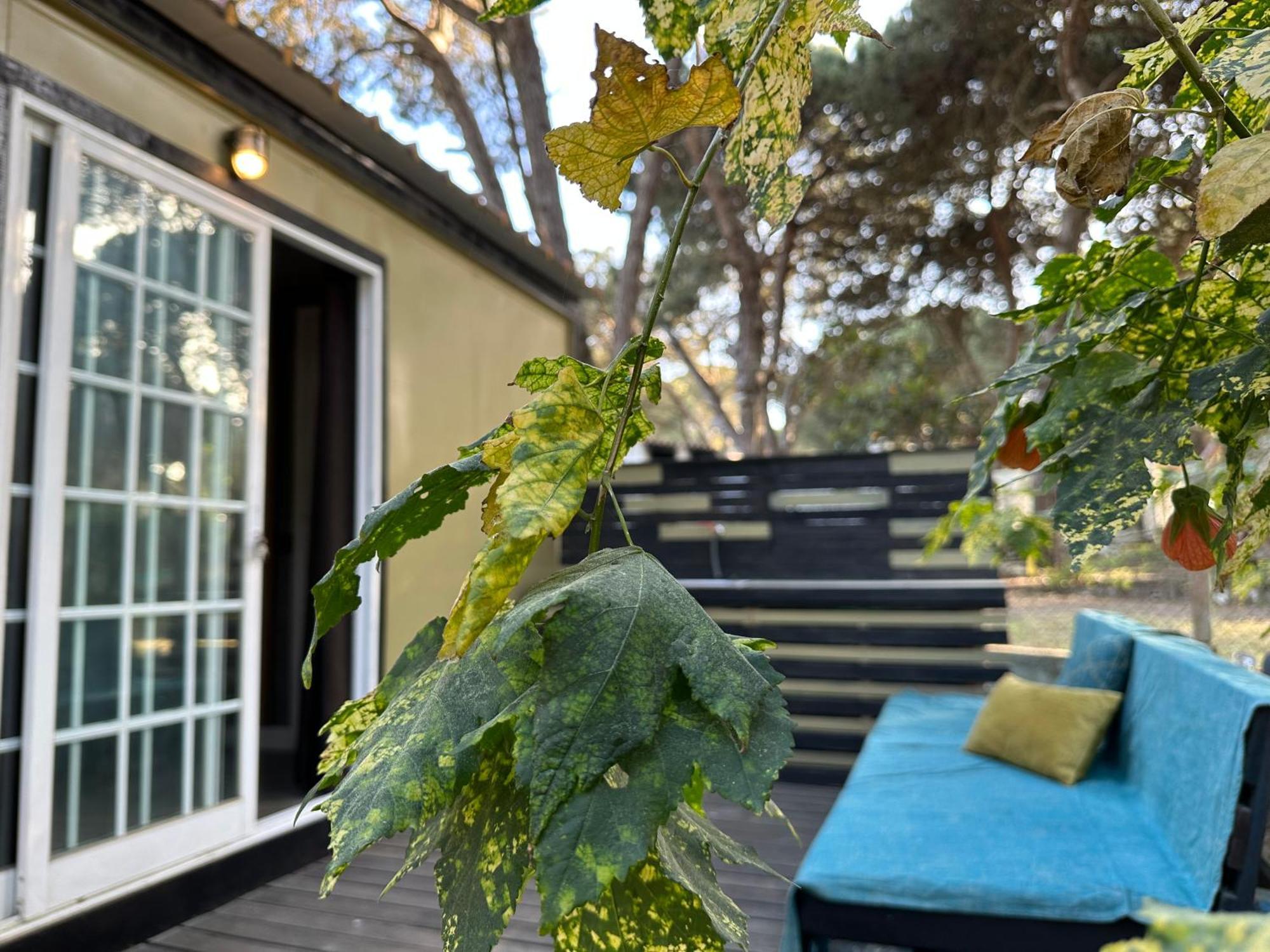 Eco-Friendly Beach House Sesimbra Buitenkant foto
