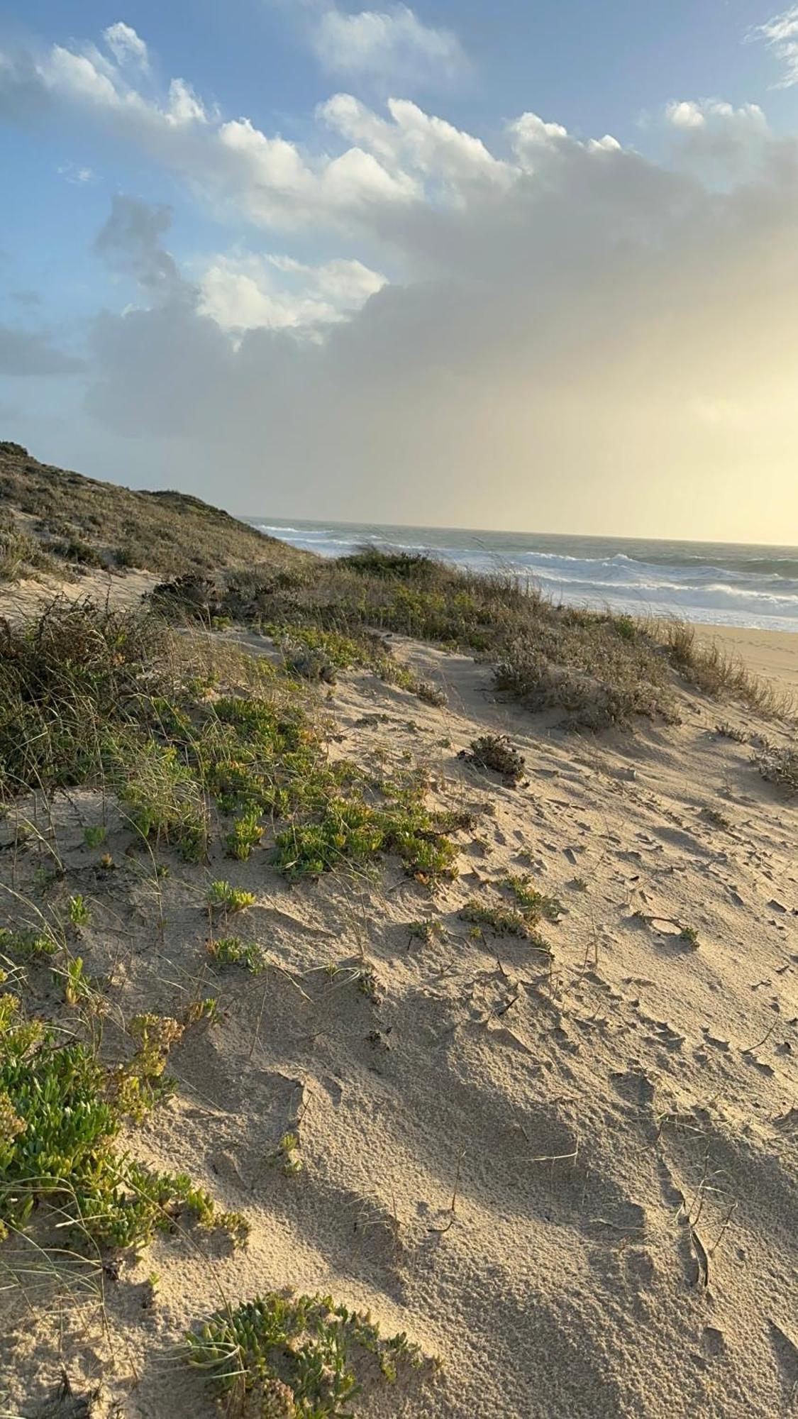 Eco-Friendly Beach House Sesimbra Buitenkant foto
