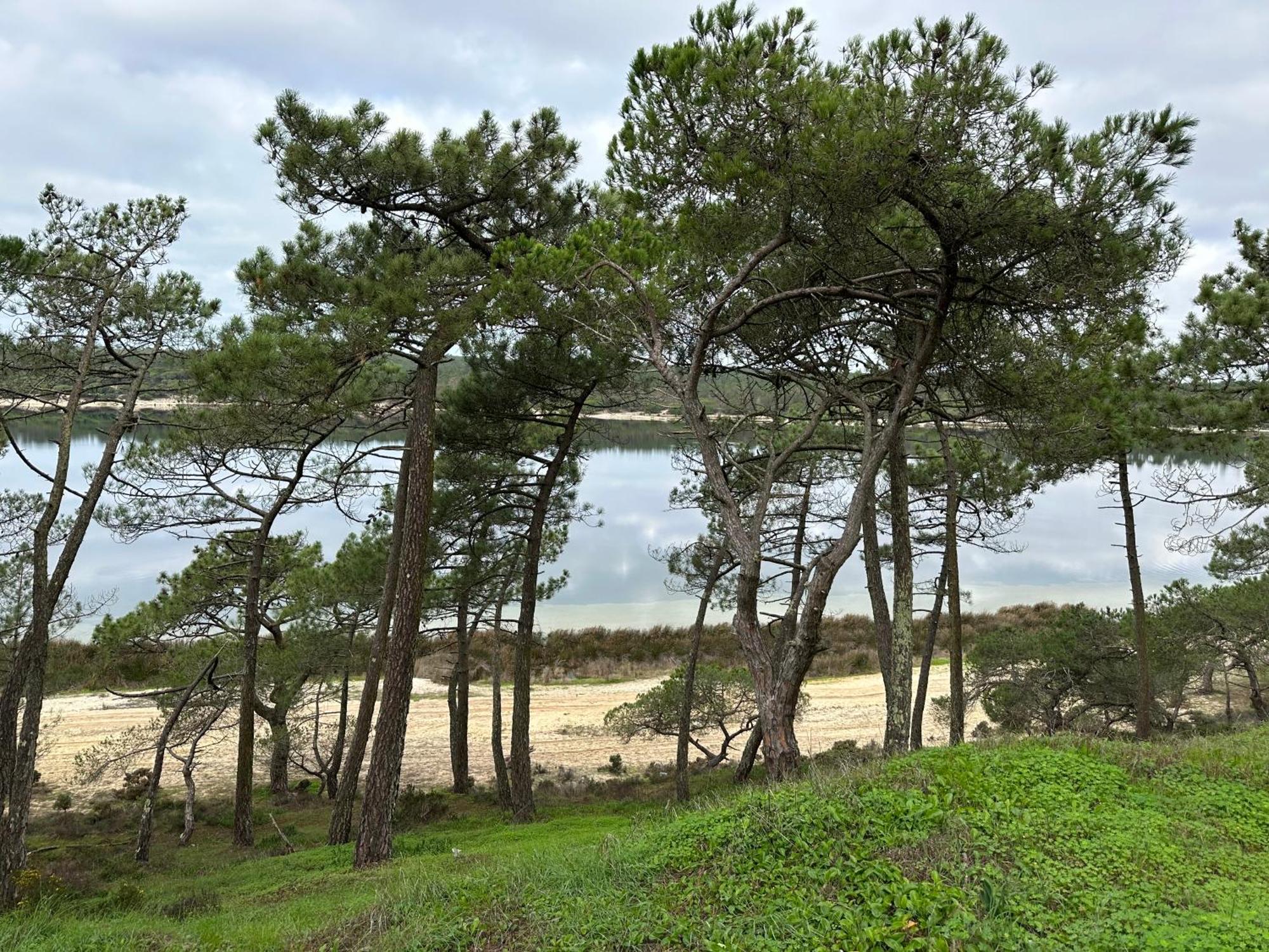 Eco-Friendly Beach House Sesimbra Buitenkant foto